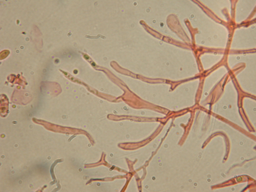 In mancanza di .... QUIZ